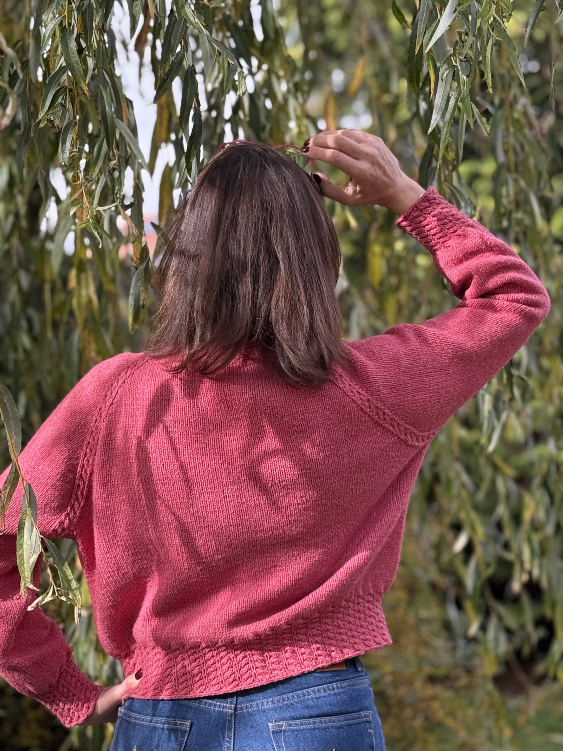 ROSE (FR) – Image 7