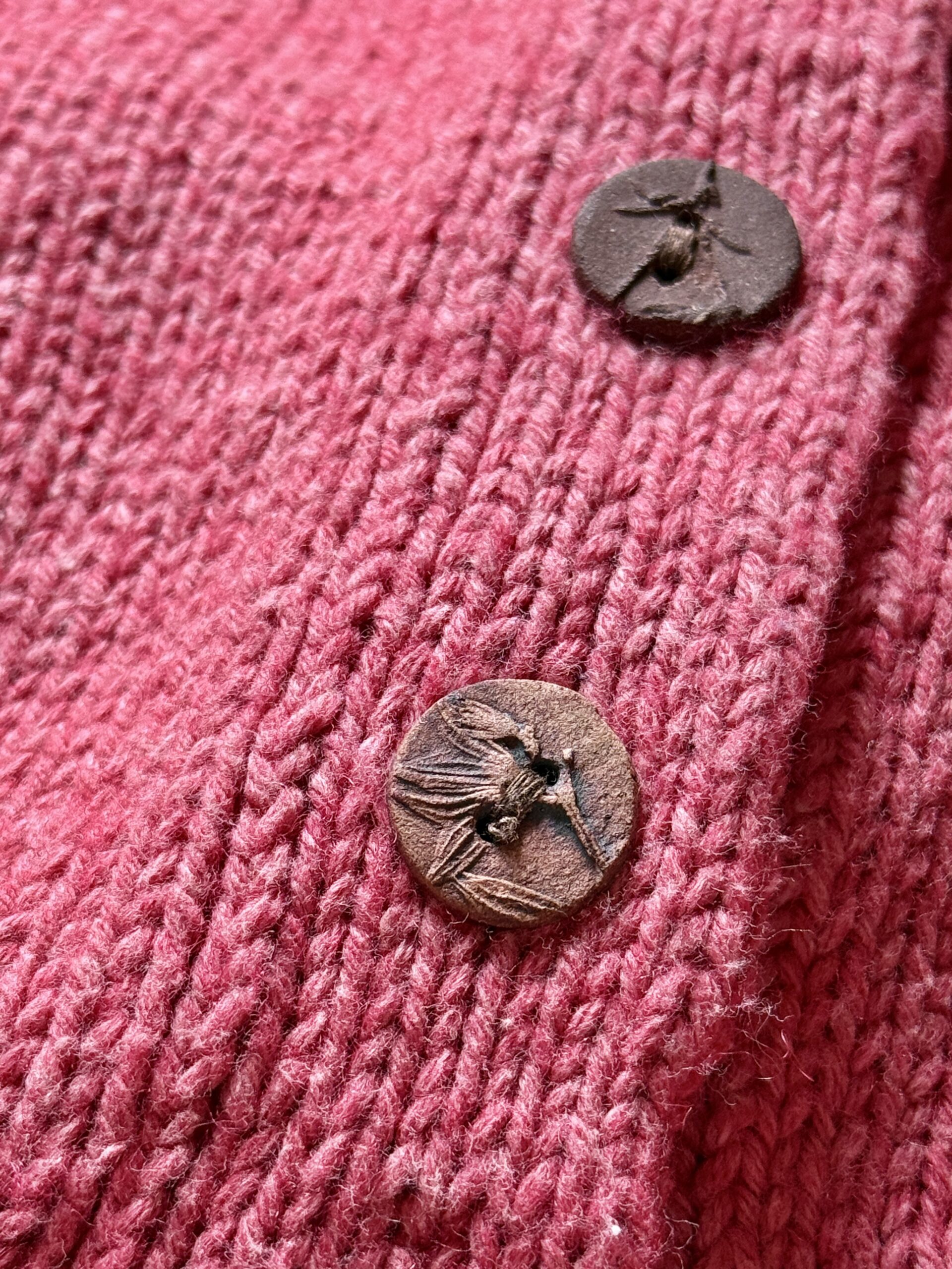 ROSE (FR) – Image 12